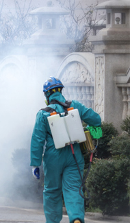 廣西綠盾蟲害防治服務有限公司